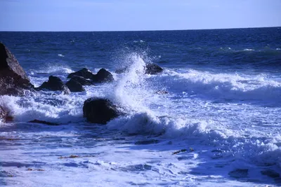 DSC_0587 (Large).JPG